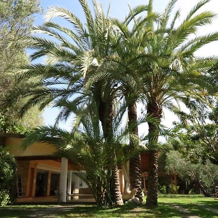 Villaggio Garden Park Marina di Camerota Exteriör bild