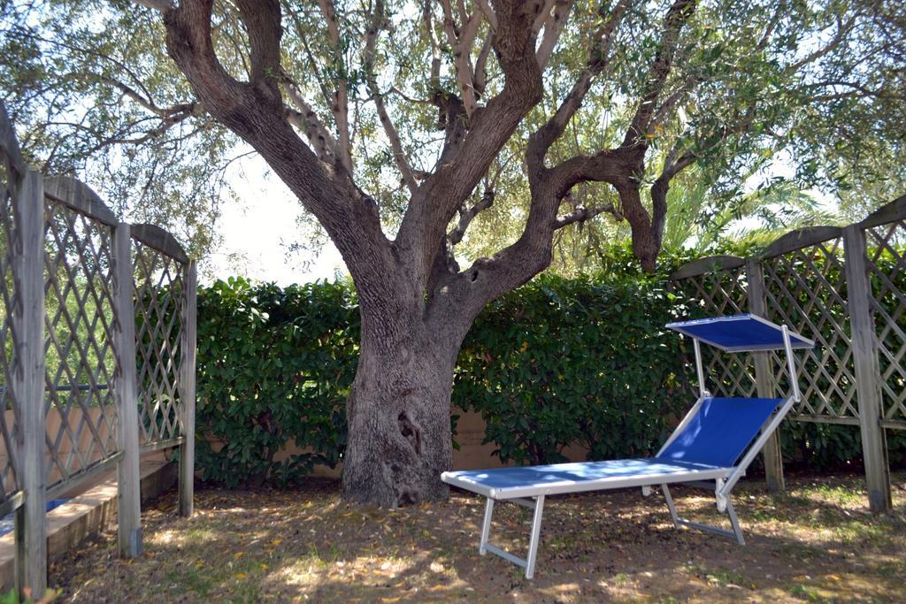 Villaggio Garden Park Marina di Camerota Exteriör bild