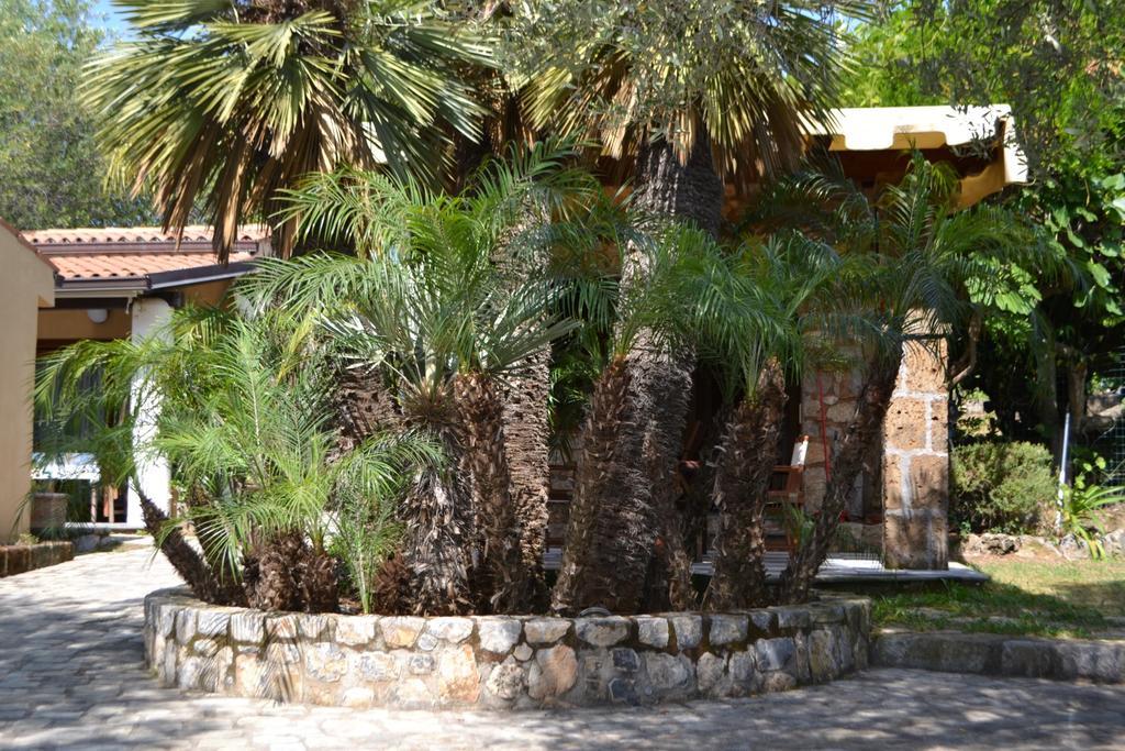 Villaggio Garden Park Marina di Camerota Exteriör bild