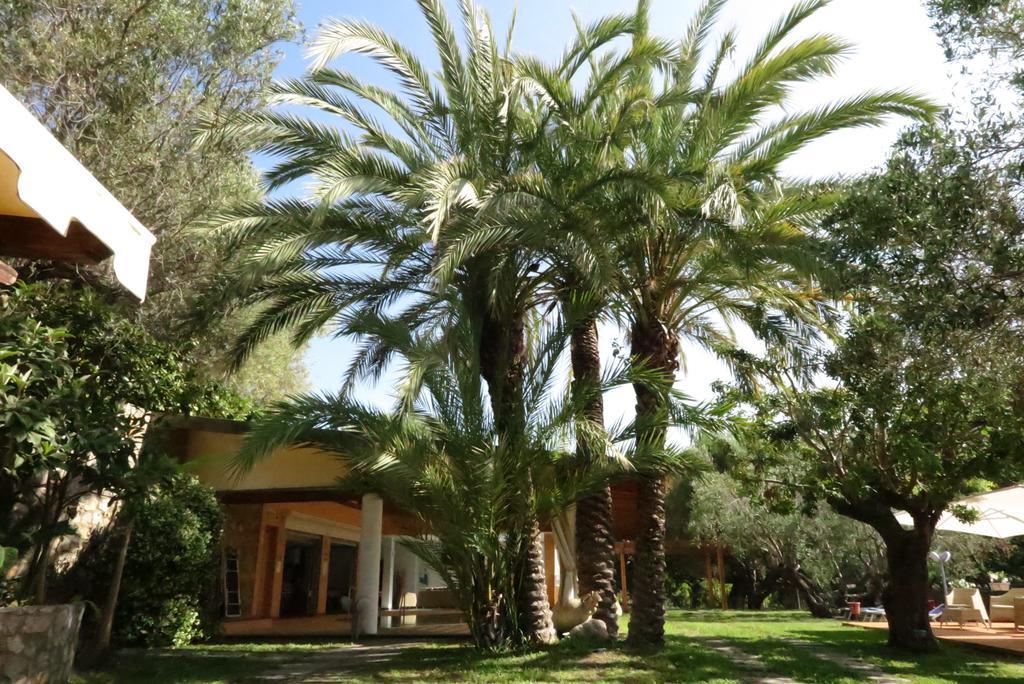 Villaggio Garden Park Marina di Camerota Exteriör bild