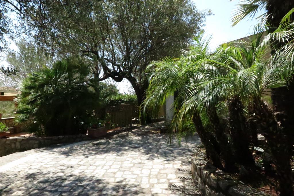 Villaggio Garden Park Marina di Camerota Exteriör bild